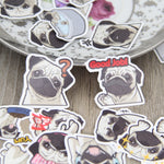Load image into Gallery viewer, 40PCS/lot Pug Decal For Phone Car Case Waterproof Stickers - NINI SHOP
